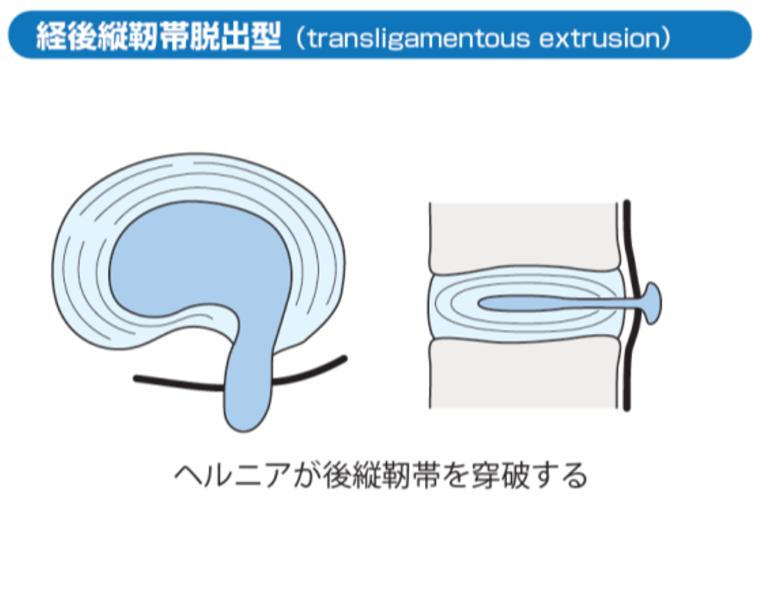 img-division-orthopedics-