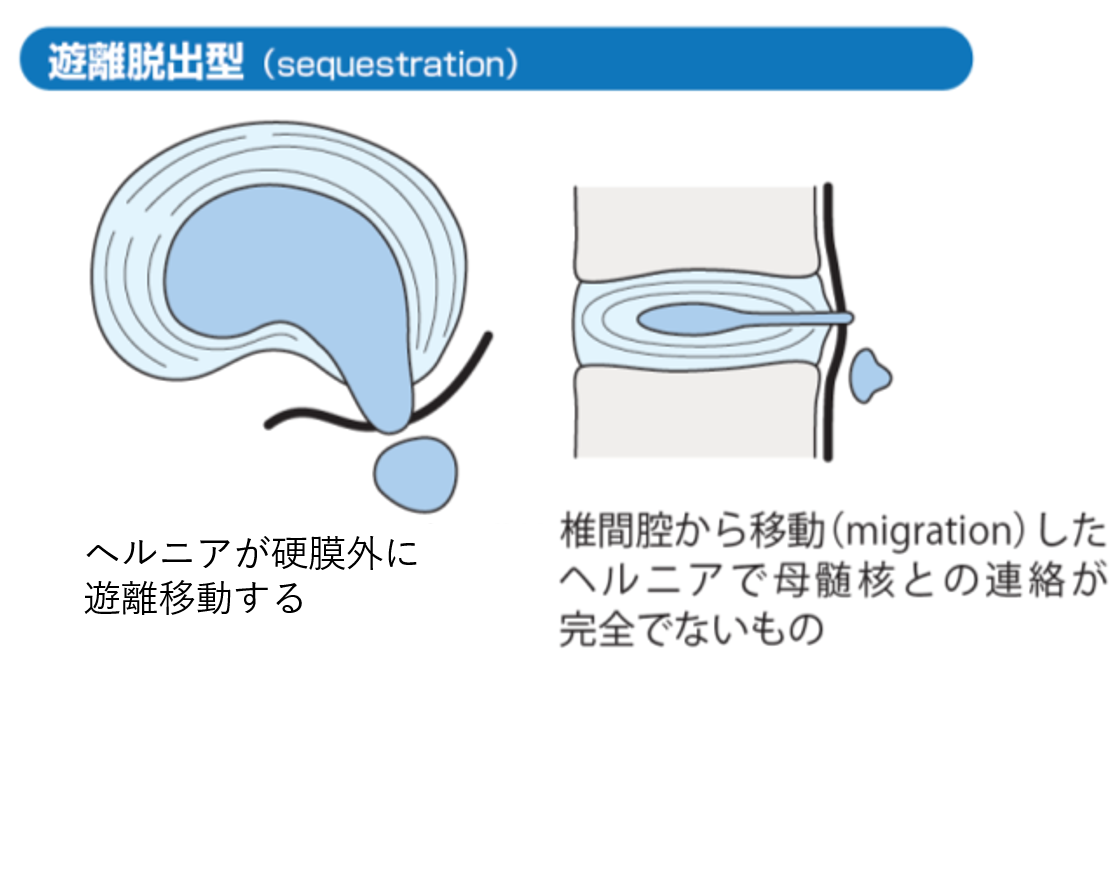 img-division-orthopedics-